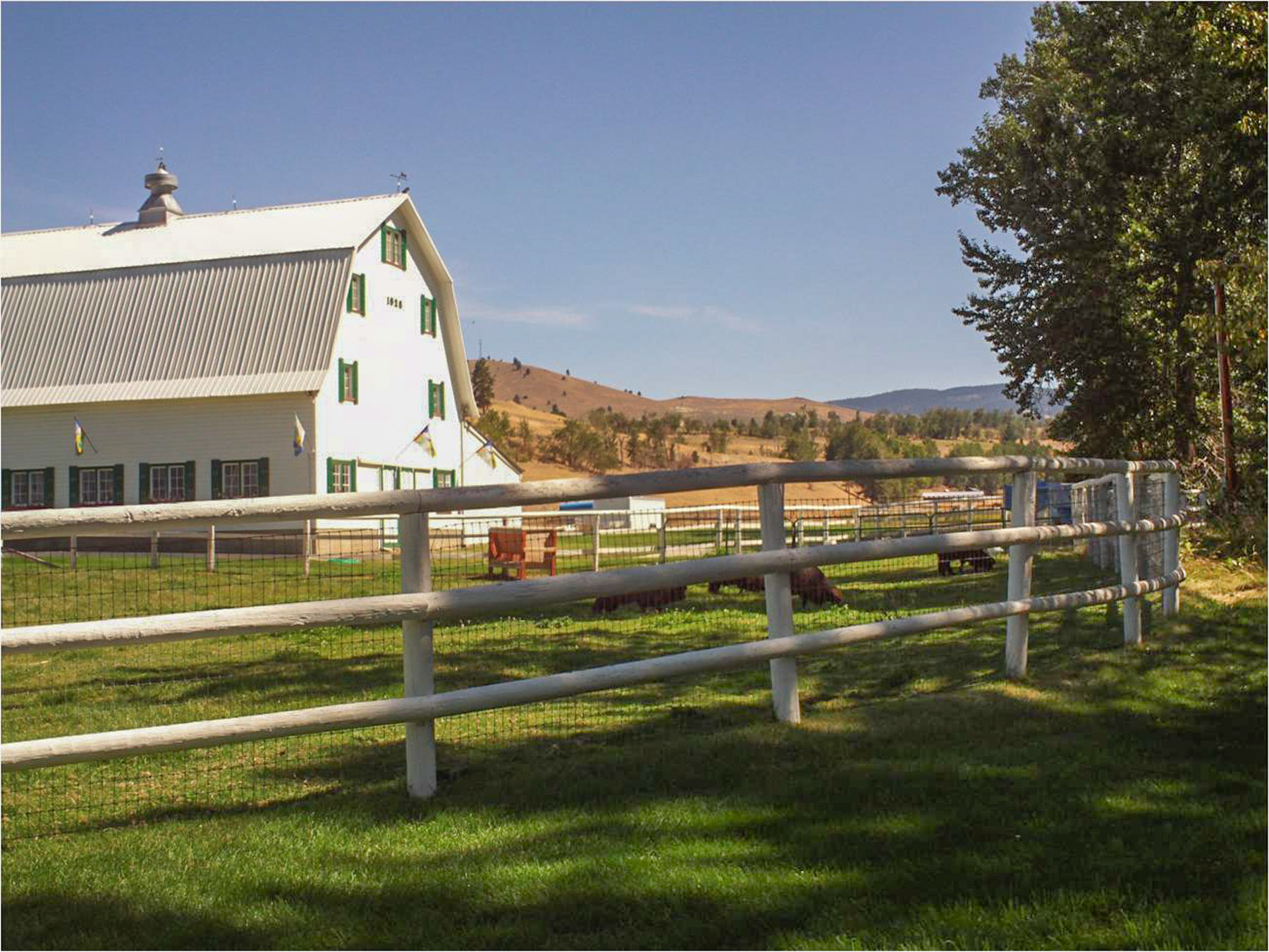 White Feather Ranch property picture 21 of 54