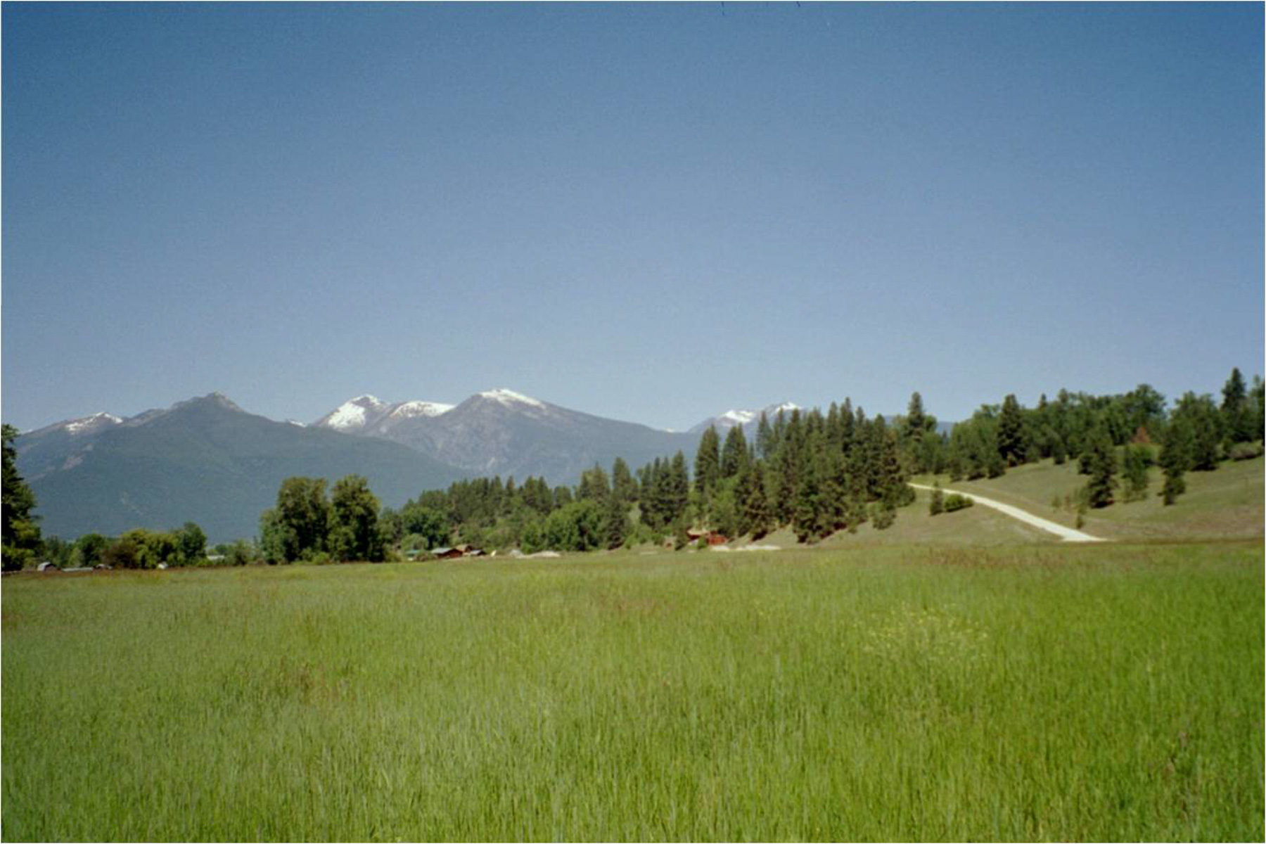 White Feather Ranch property picture 27 of 54