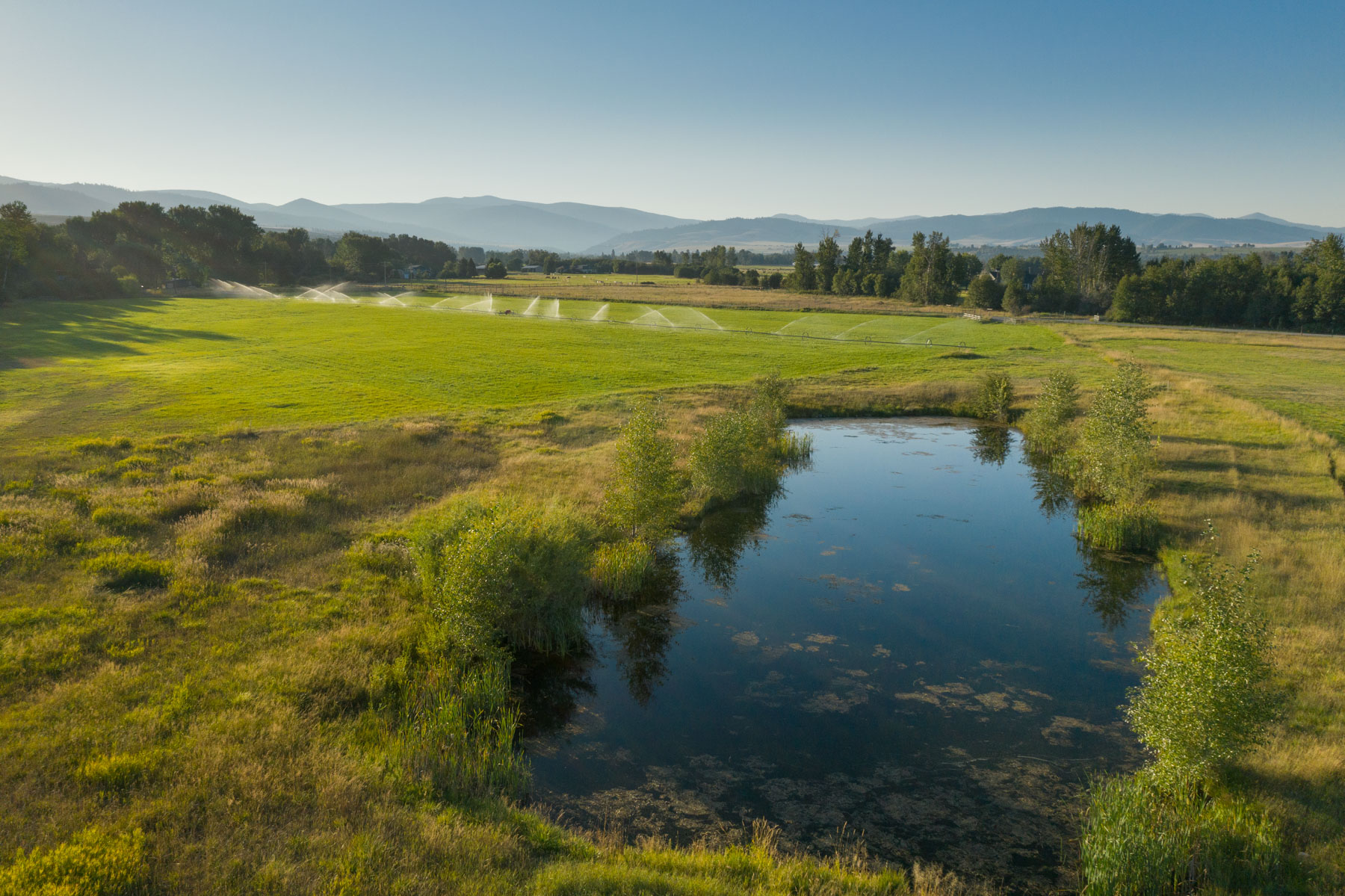 White Feather Ranch property picture 9 of 54