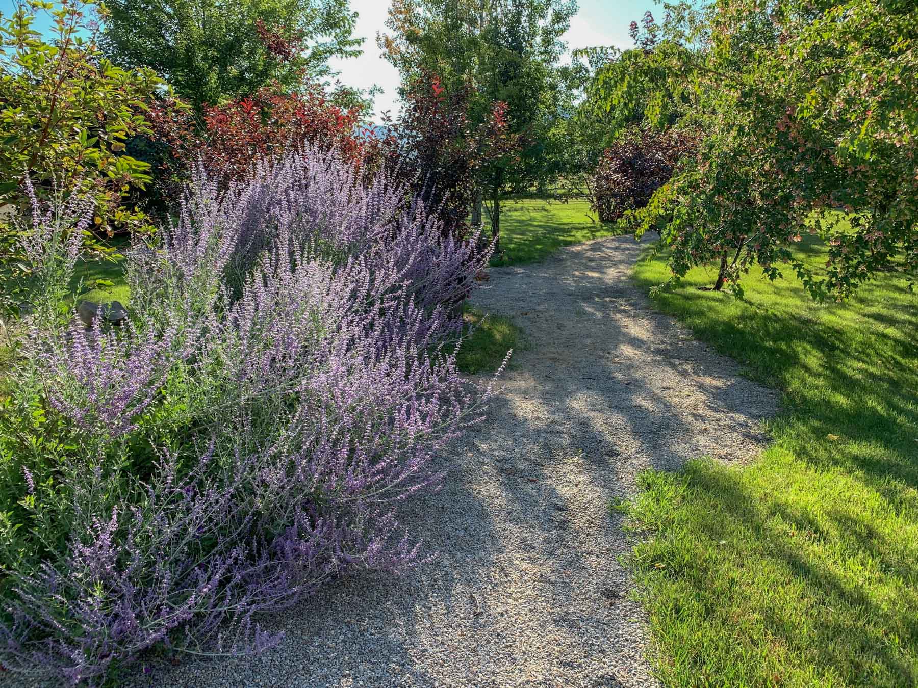 White Feather Ranch property picture 29 of 54