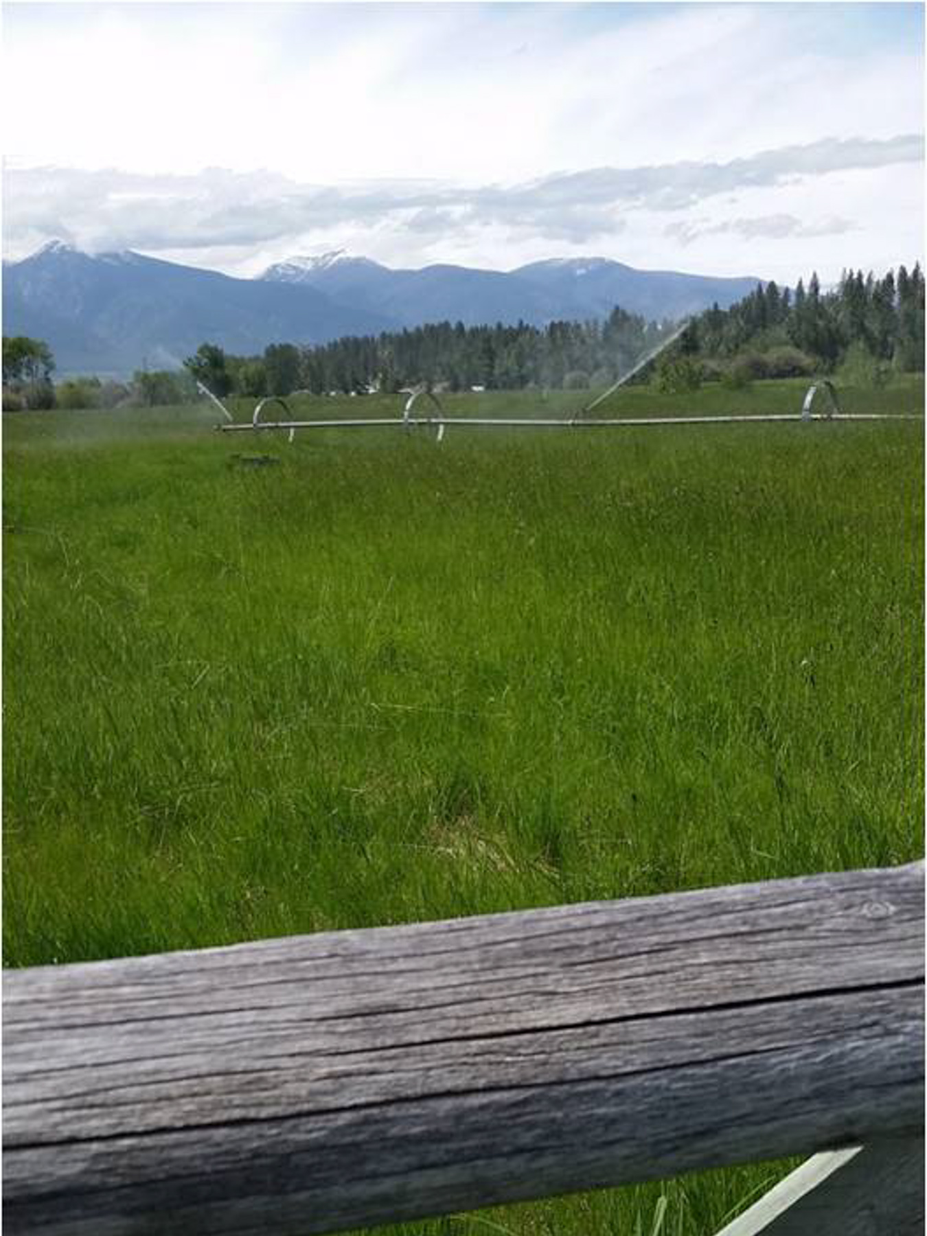 White Feather Ranch property picture 24 of 54