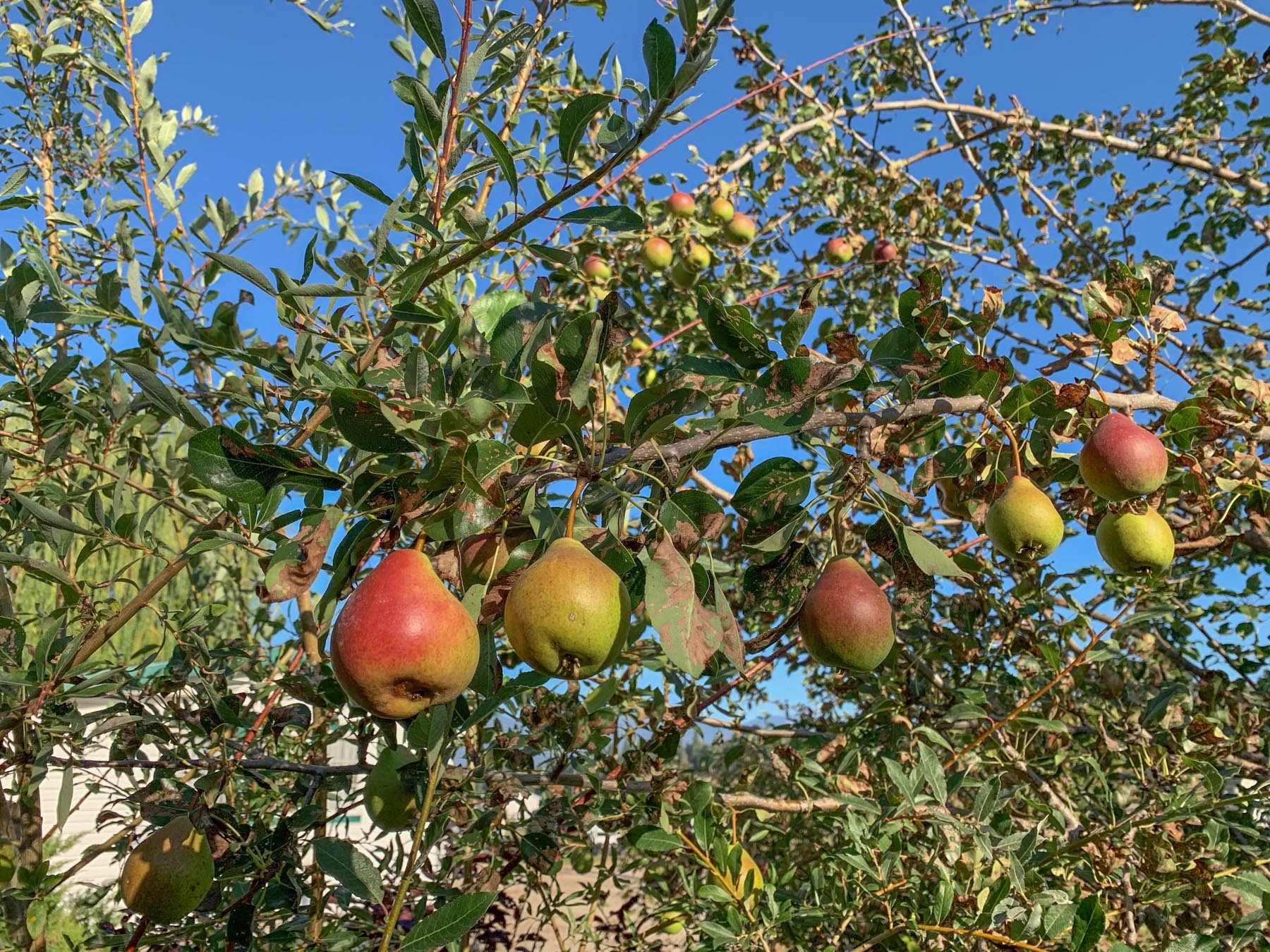 White Feather Ranch property picture 37 of 54
