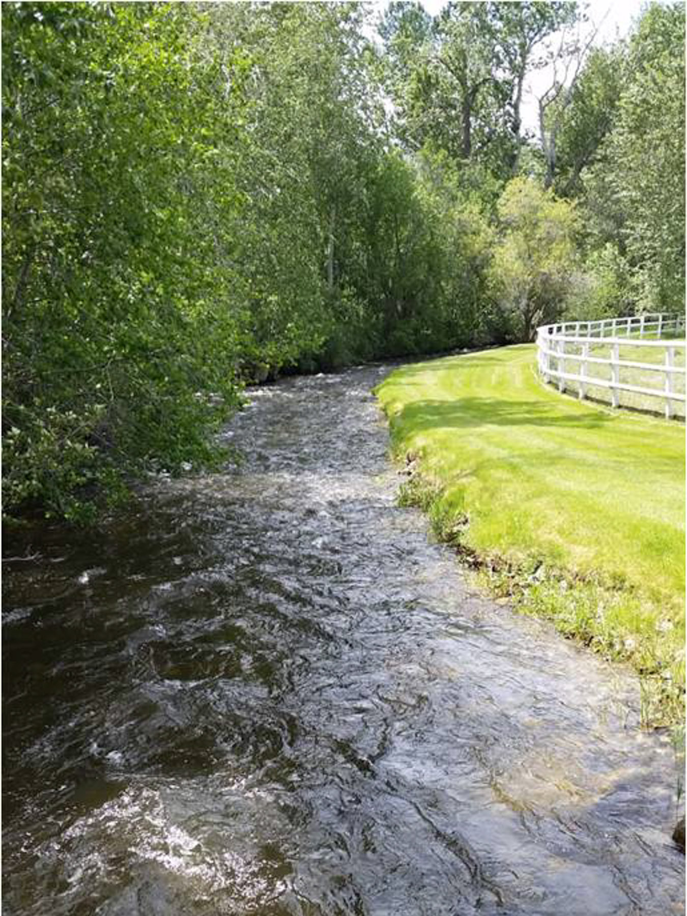 White Feather Ranch property picture 25 of 54