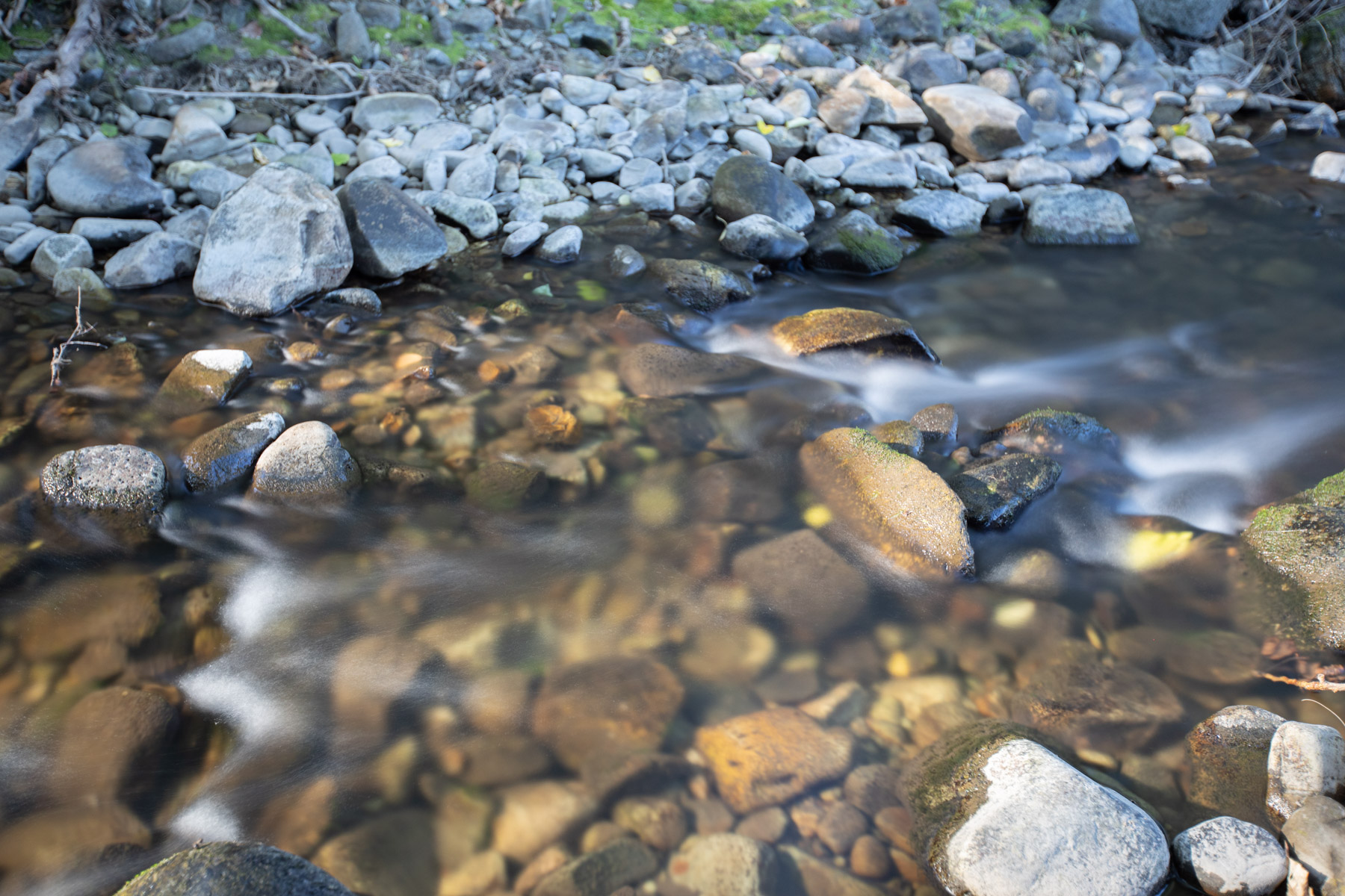 White Feather Ranch property picture 5 of 54