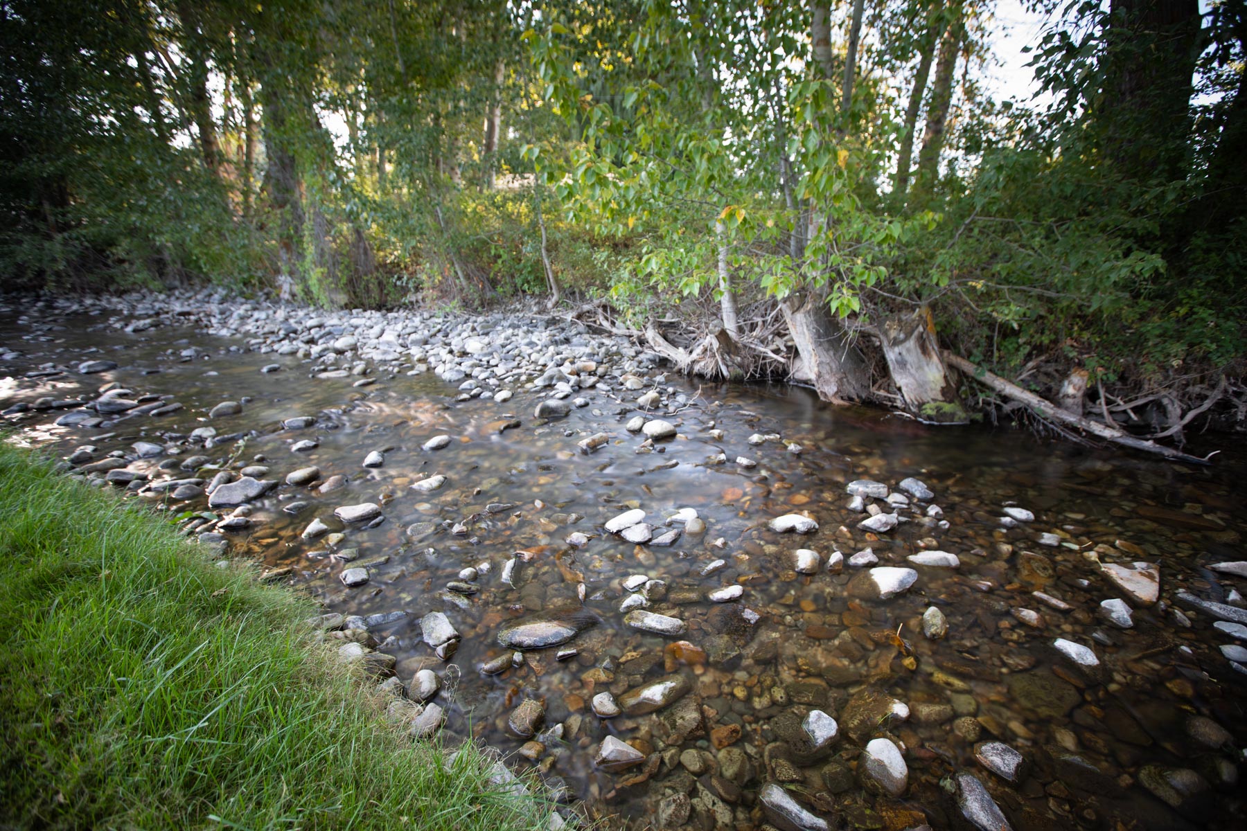 White Feather Ranch property picture 14 of 54