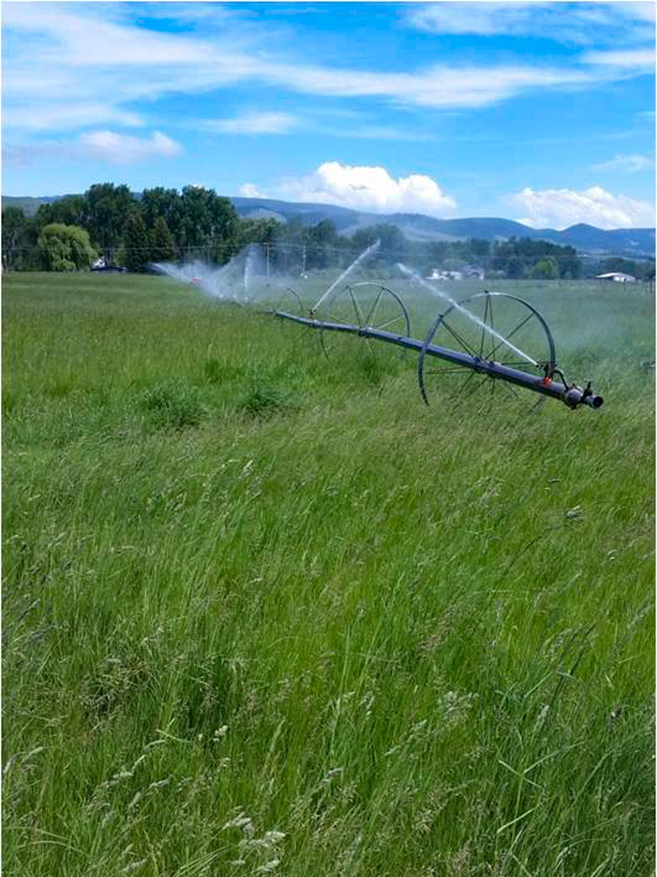 White Feather Ranch property picture 26 of 54