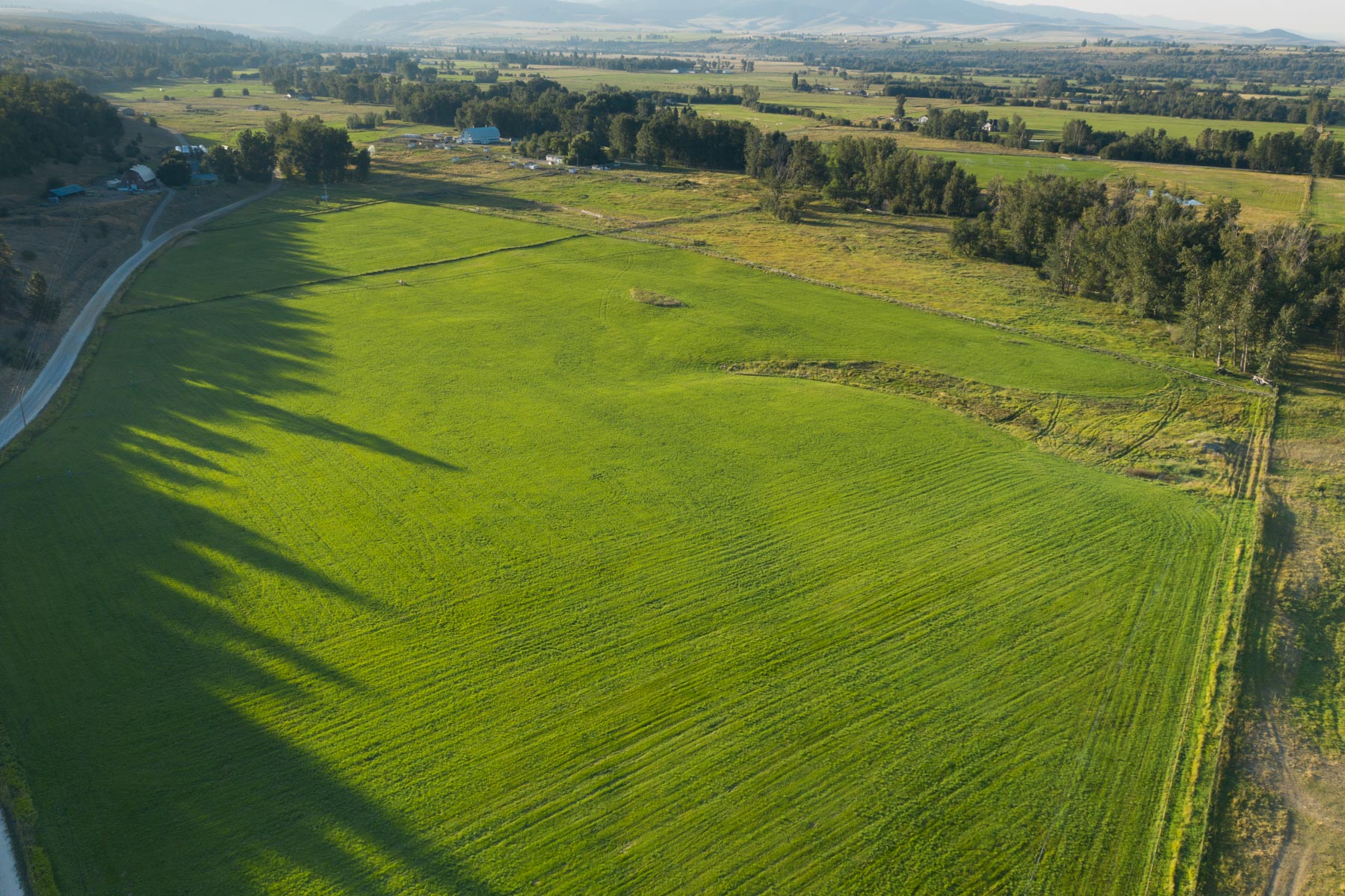White Feather Ranch property picture 11 of 54