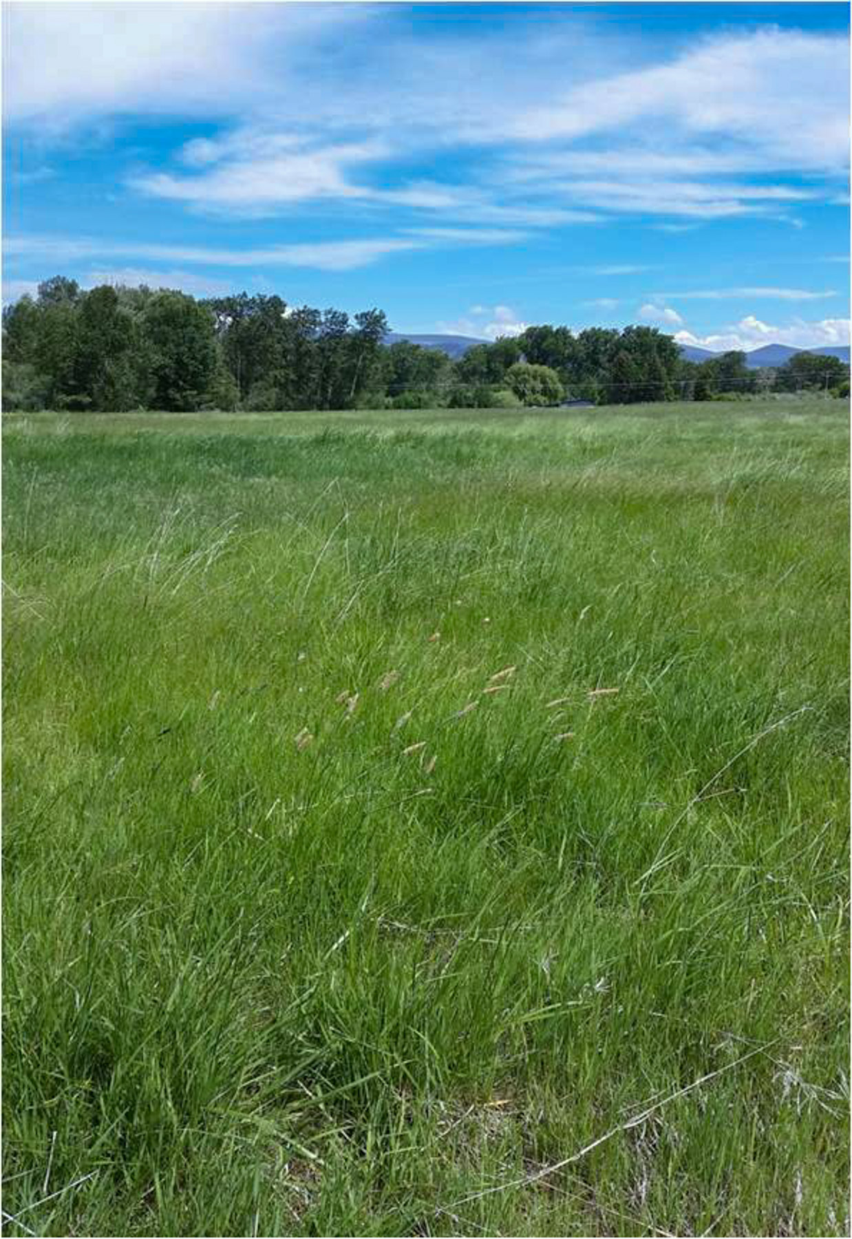 White Feather Ranch property picture 23 of 54