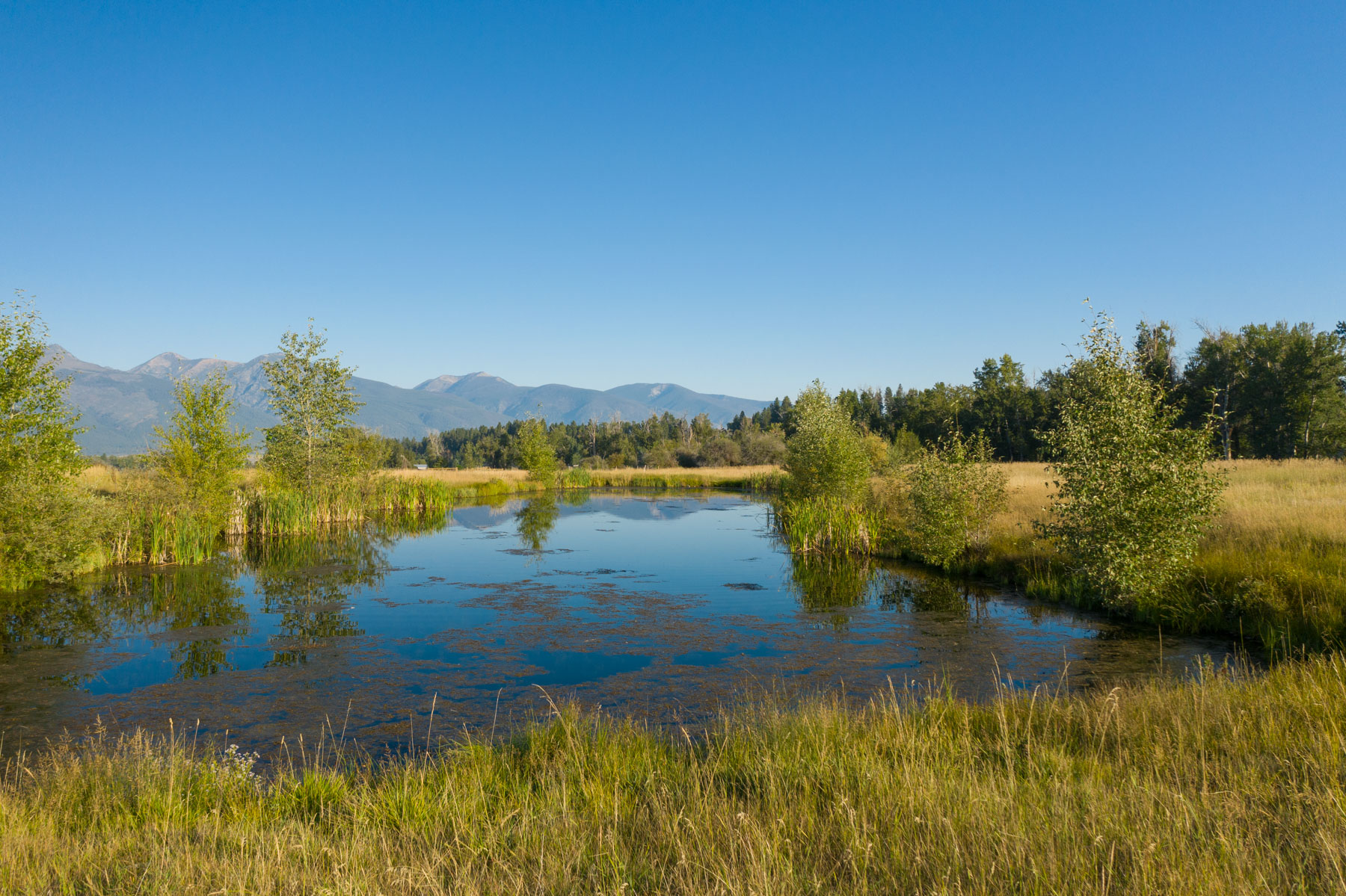 White Feather Ranch property picture 12 of 54