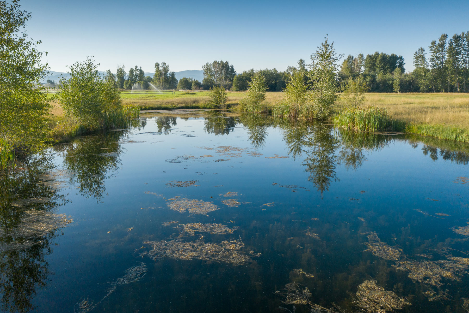 White Feather Ranch property picture 13 of 54