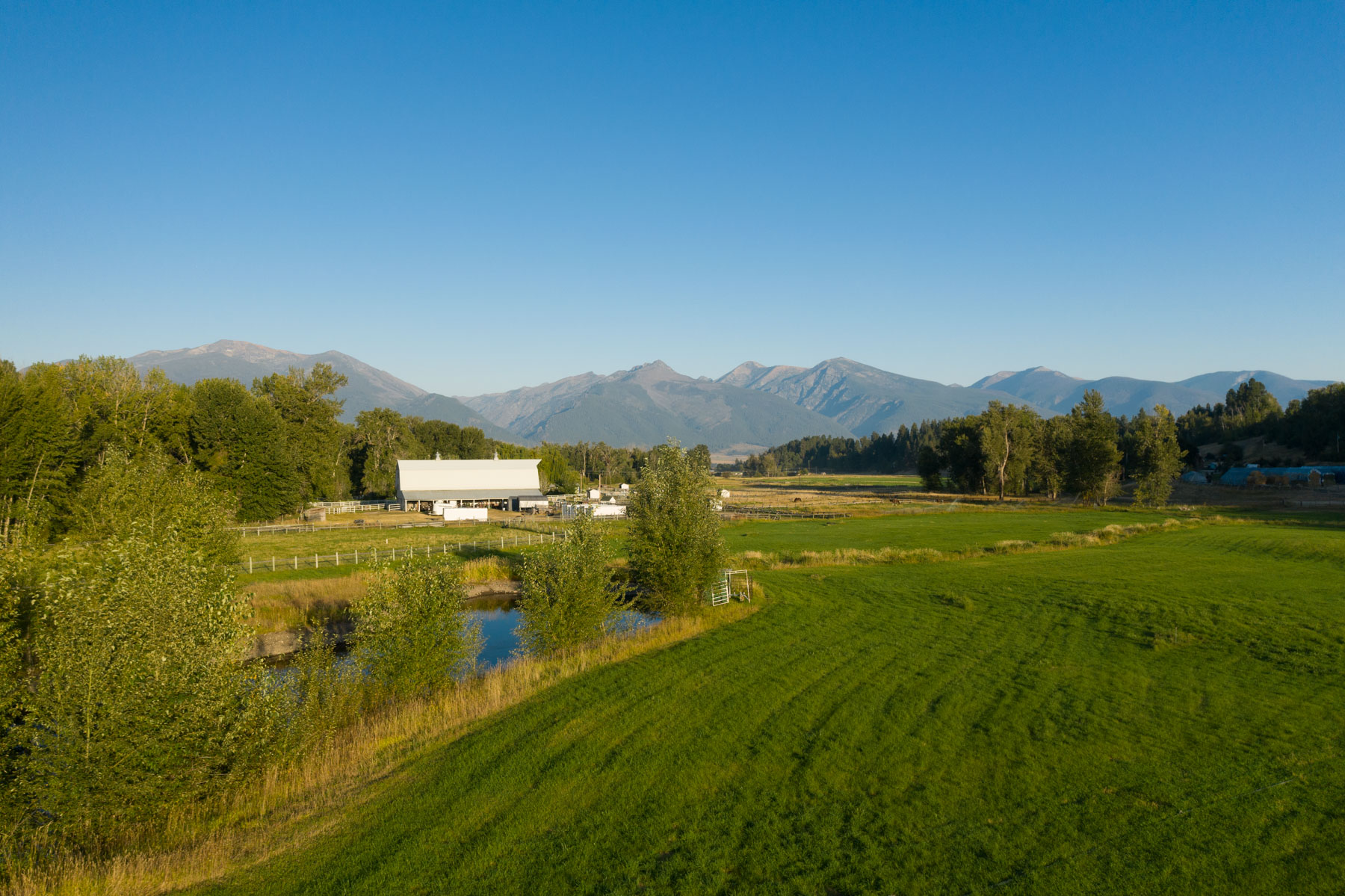 White Feather Ranch property picture 4 of 54