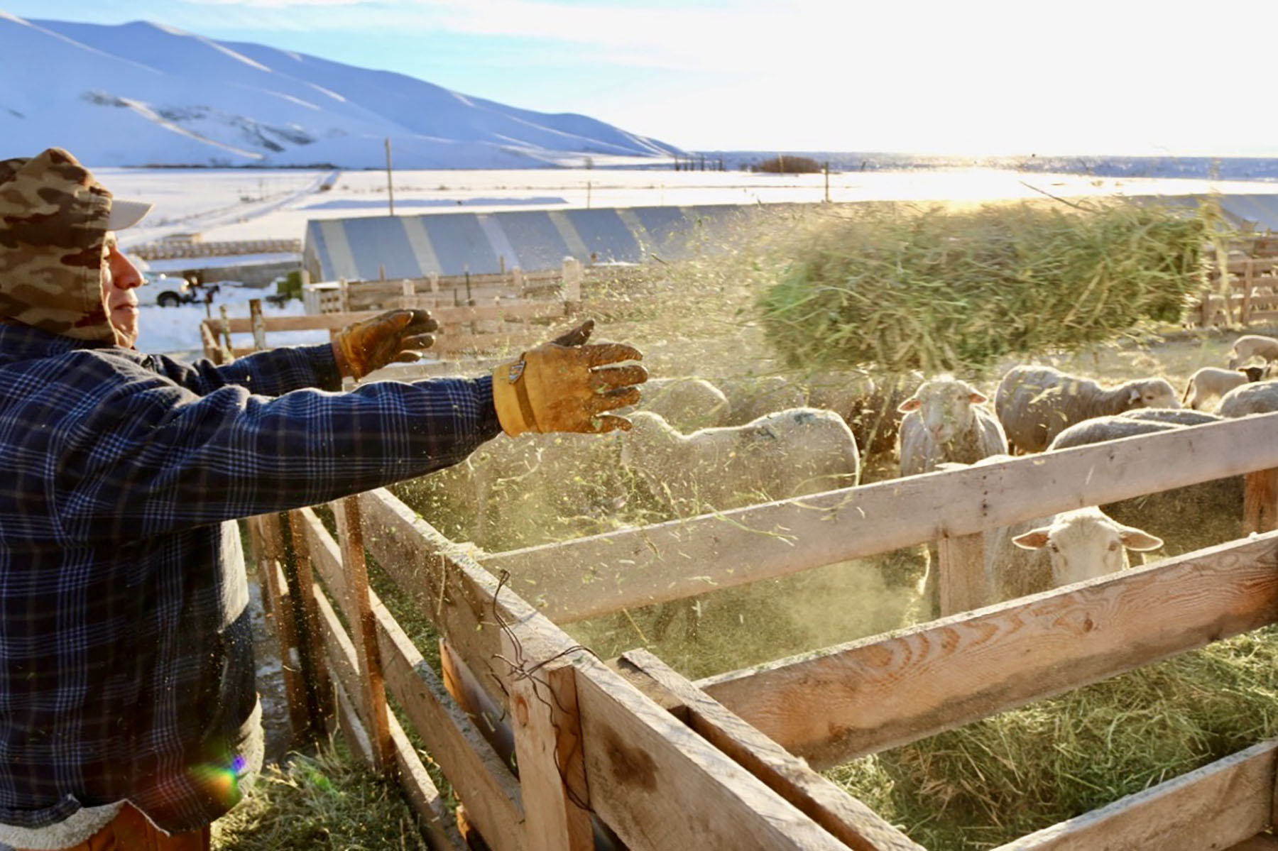 Lava Lake Ranch property picture 74 of 135