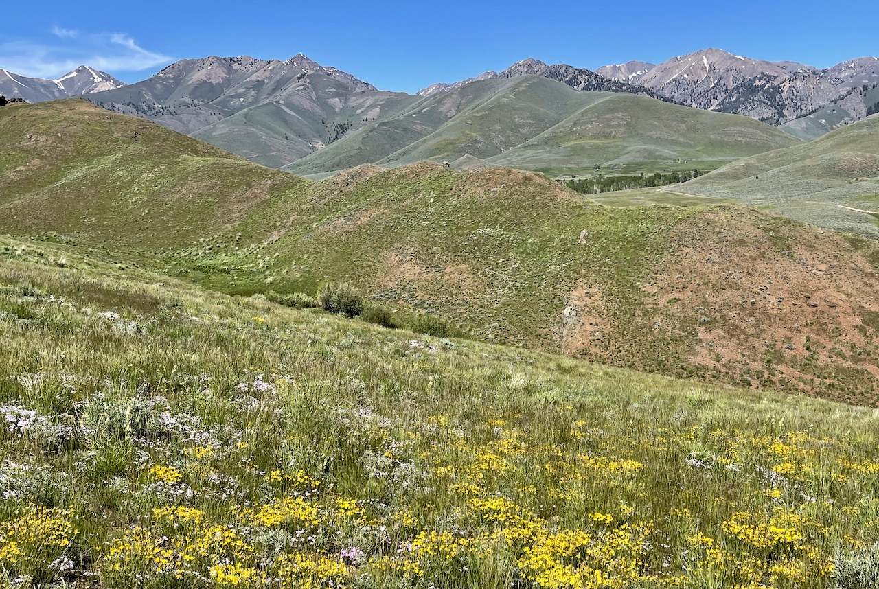 Lava Lake Ranch property picture 109 of 135