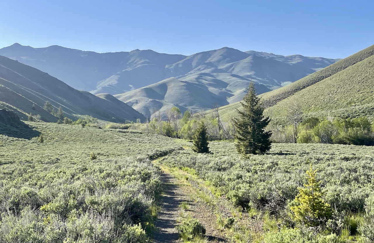 Lava Lake Ranch property picture 126 of 135