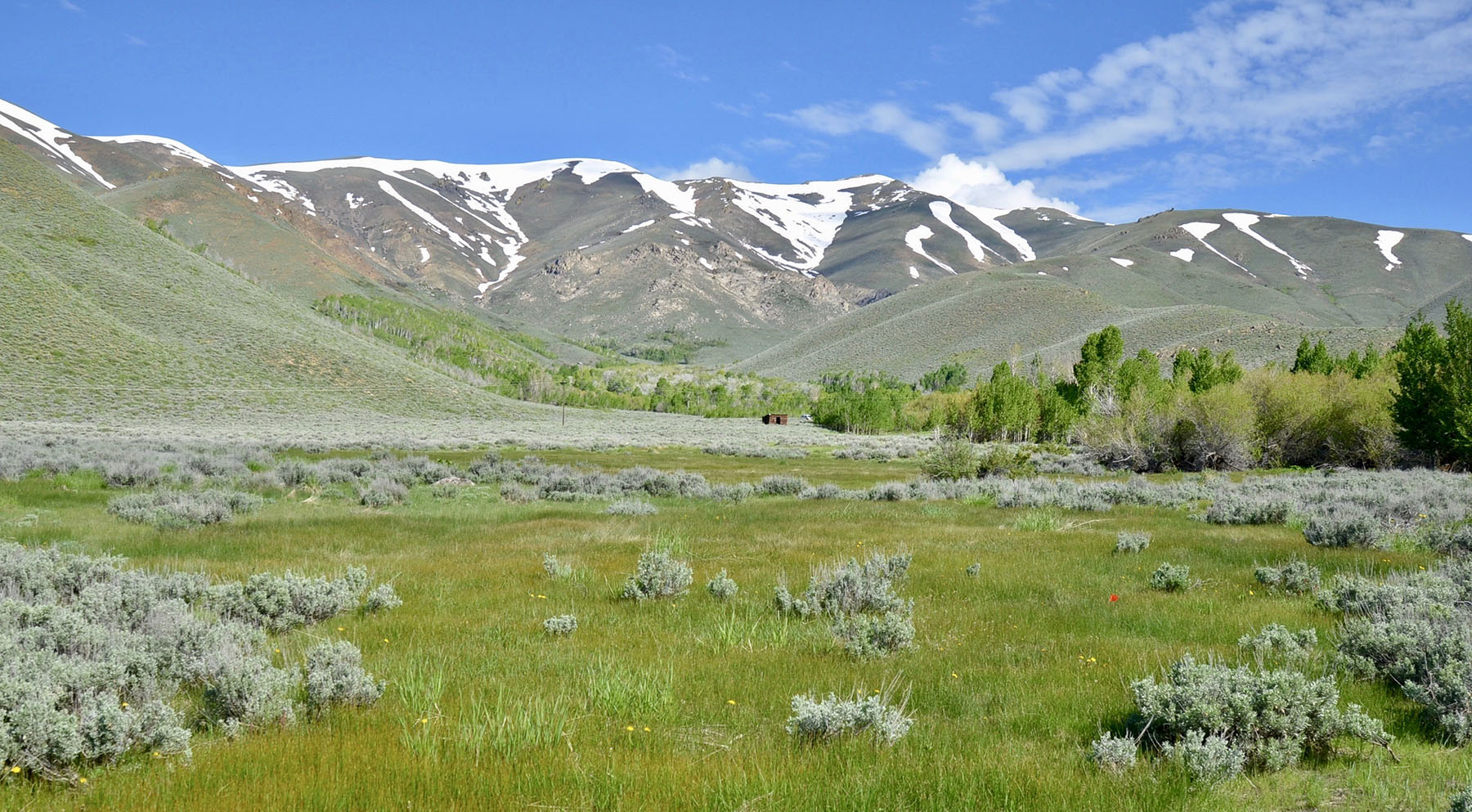 Lava Lake Ranch property picture 15 of 135