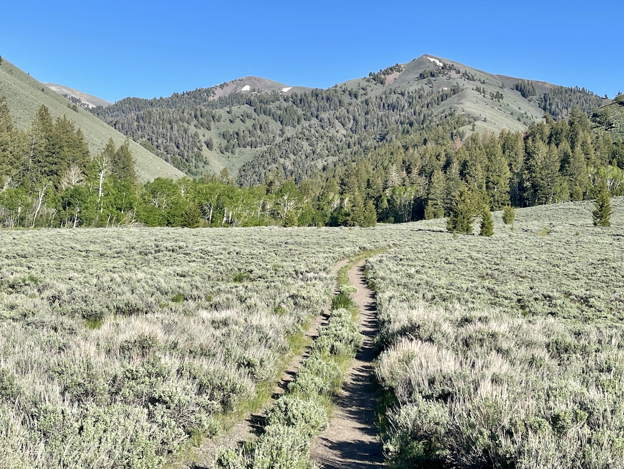 Lava Lake Ranch property picture 121 of 135
