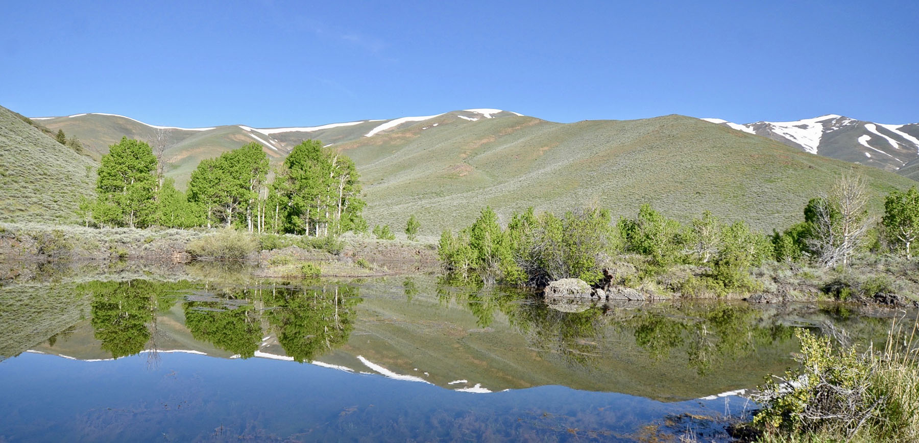 Lava Lake Ranch property picture 88 of 135