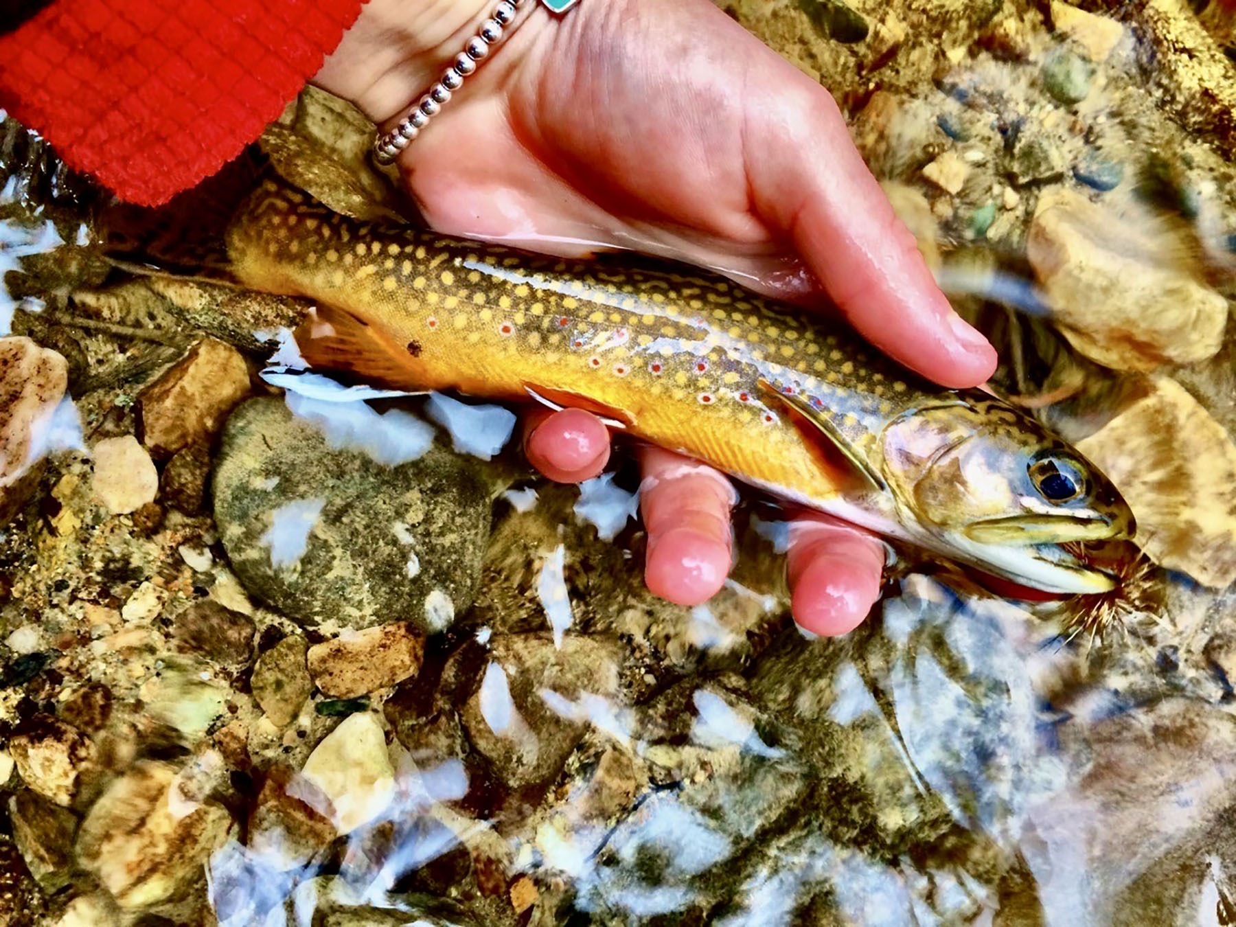 Lava Lake Ranch property picture 52 of 135