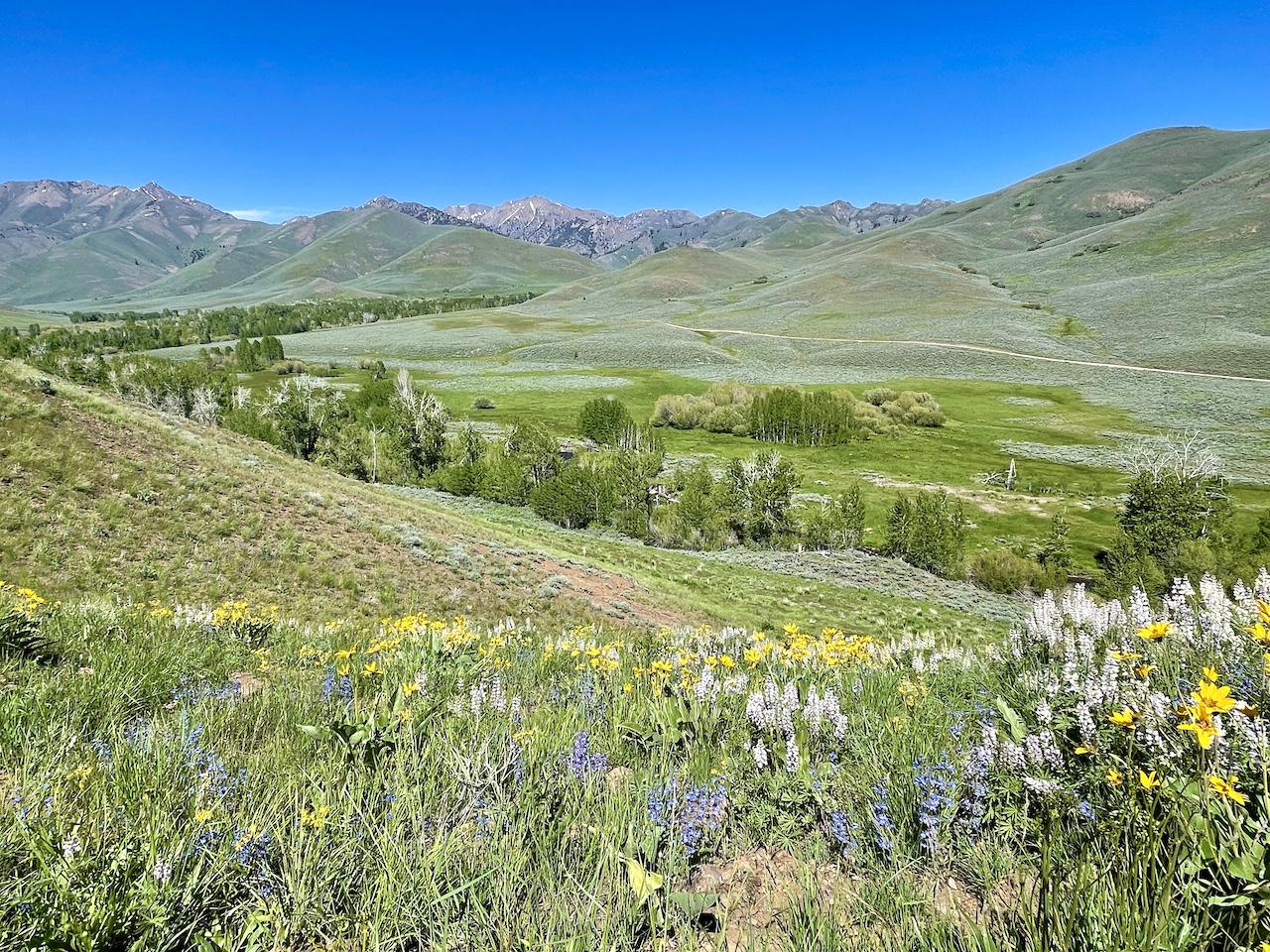 Lava Lake Ranch For Sale Idaho Hall and Hall