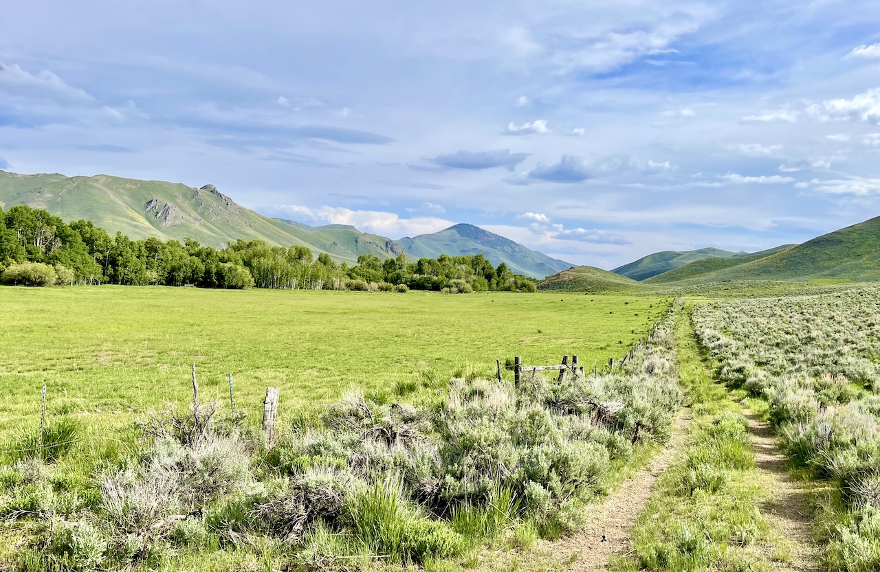 Lava Lake Ranch property picture 133 of 135