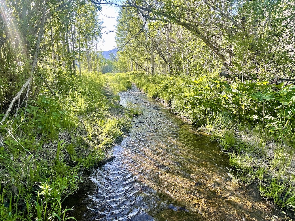 Lava Lake Ranch property picture 125 of 135