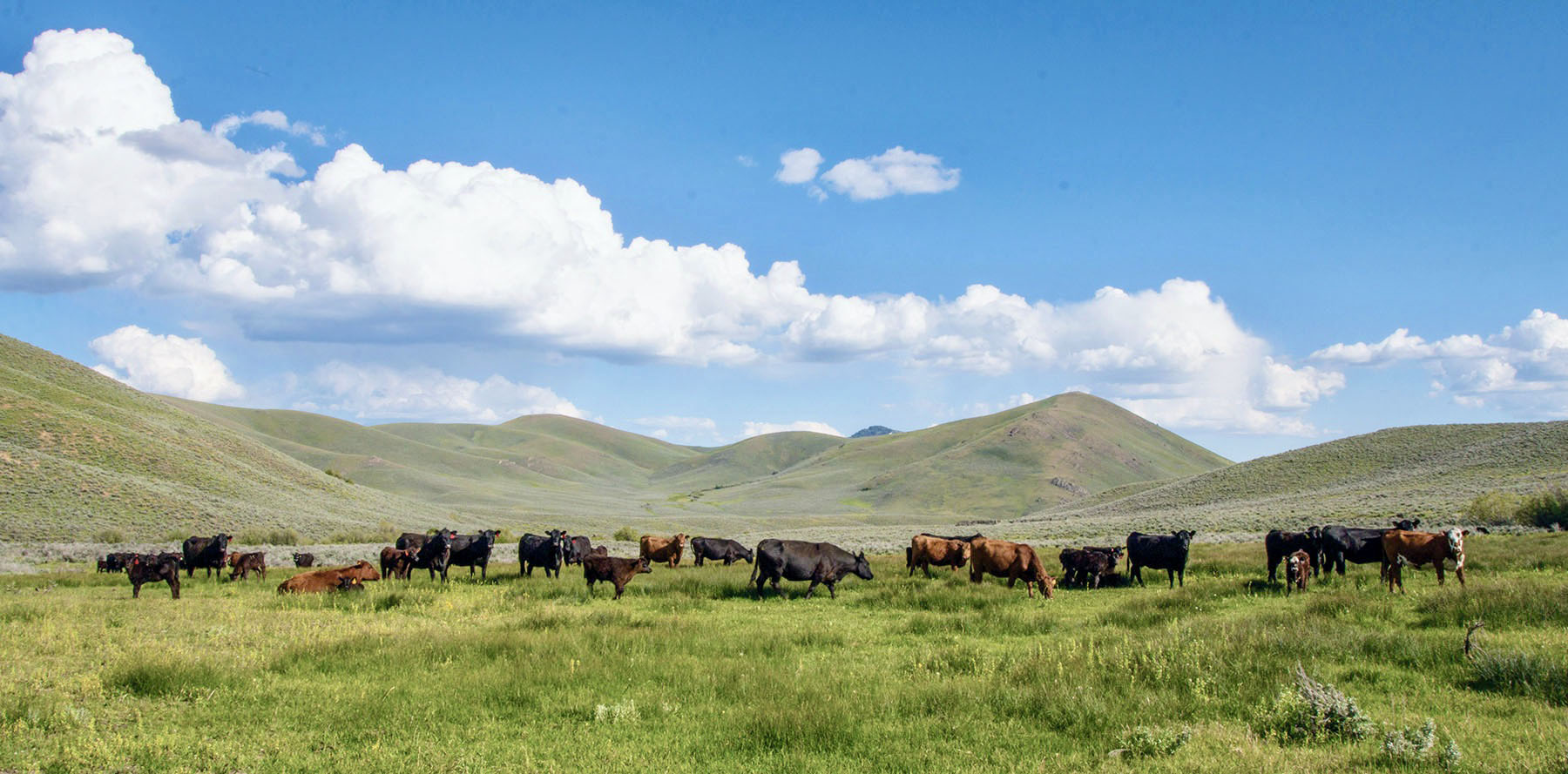 Lava Lake Ranch property picture 26 of 135