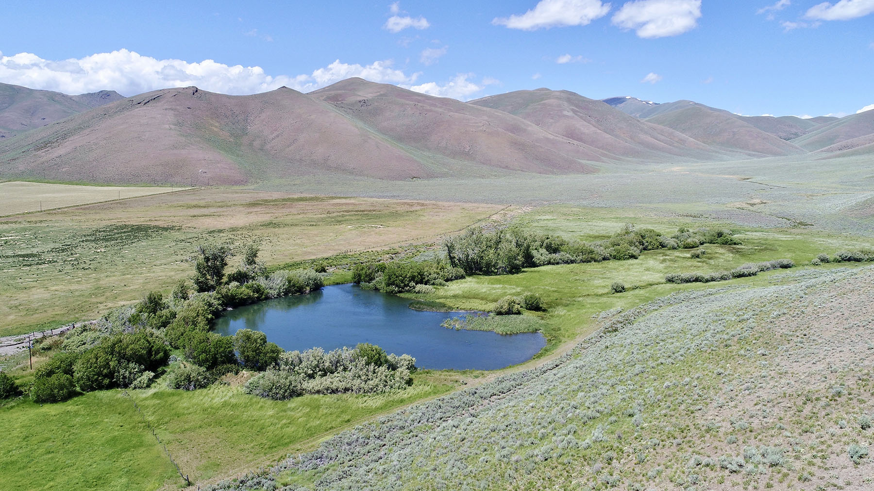 Lava Lake Ranch property picture 86 of 135