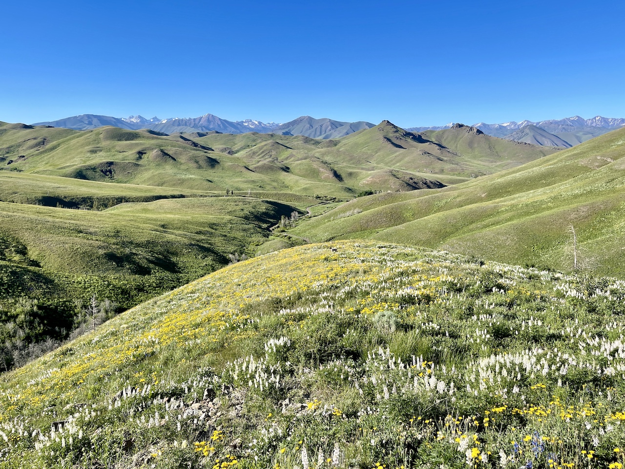 Lava Lake Ranch property picture 118 of 135