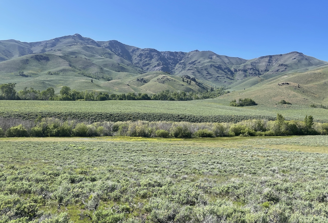 Lava Lake Ranch property picture 115 of 135