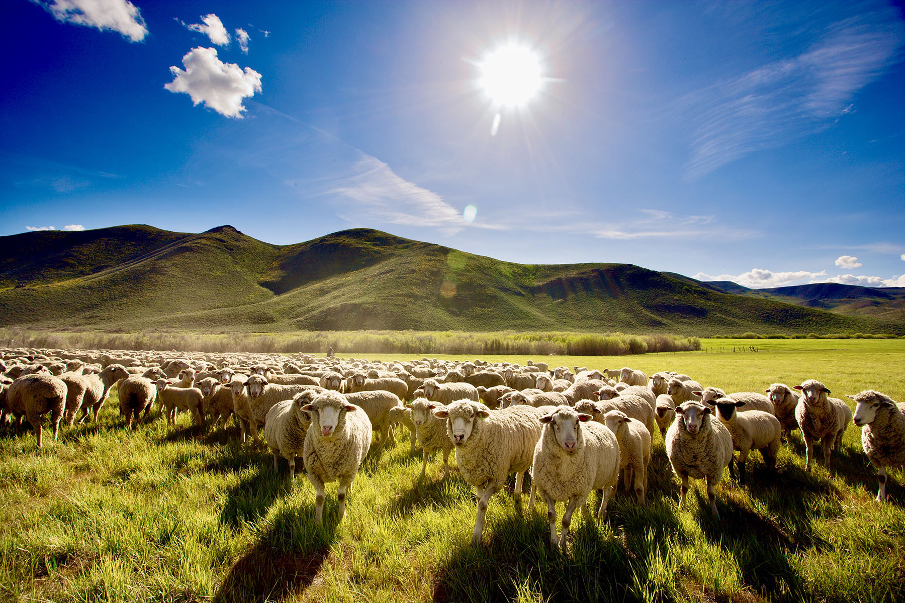 Lava Lake Ranch property picture 59 of 135