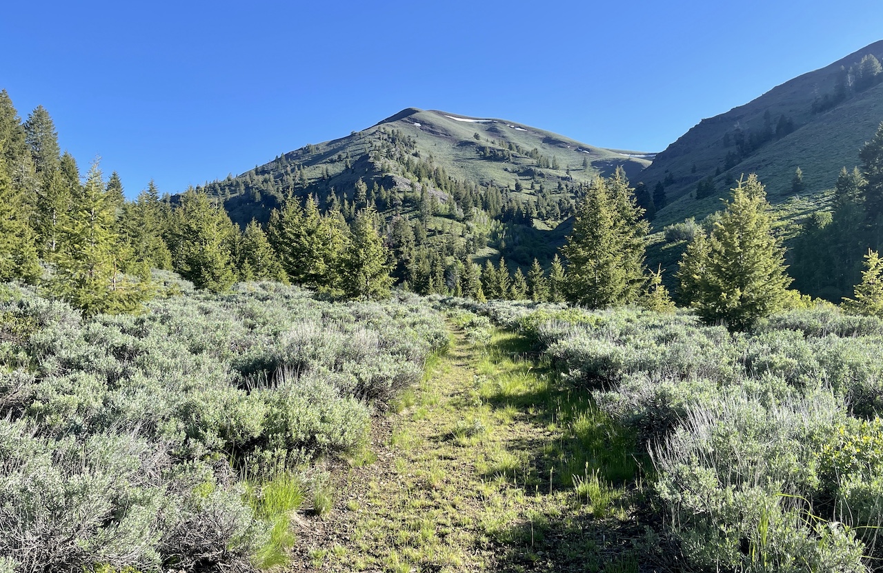 Lava Lake Ranch property picture 124 of 135