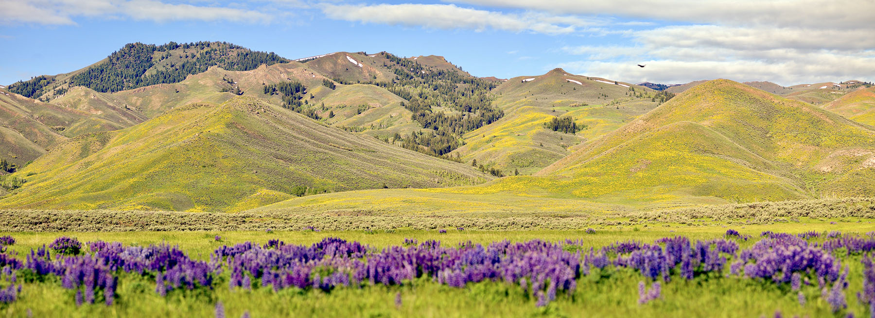 Lava Lake Ranch For Sale Idaho Hall and Hall
