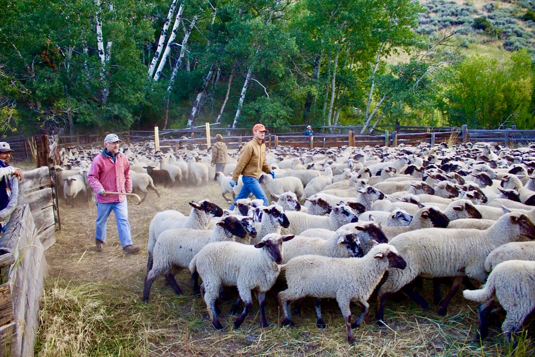 Lava Lake Ranch property picture 68 of 135