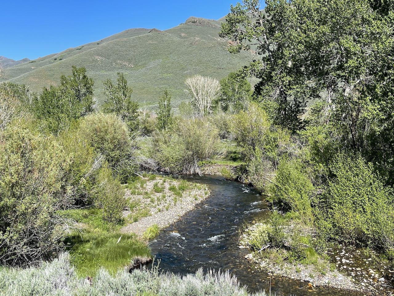 Lava Lake Ranch property picture 110 of 135