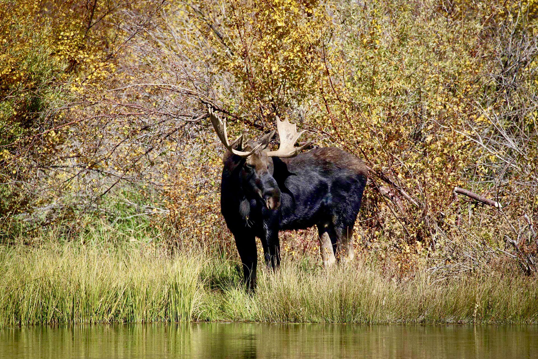Lava Lake Ranch property picture 48 of 135