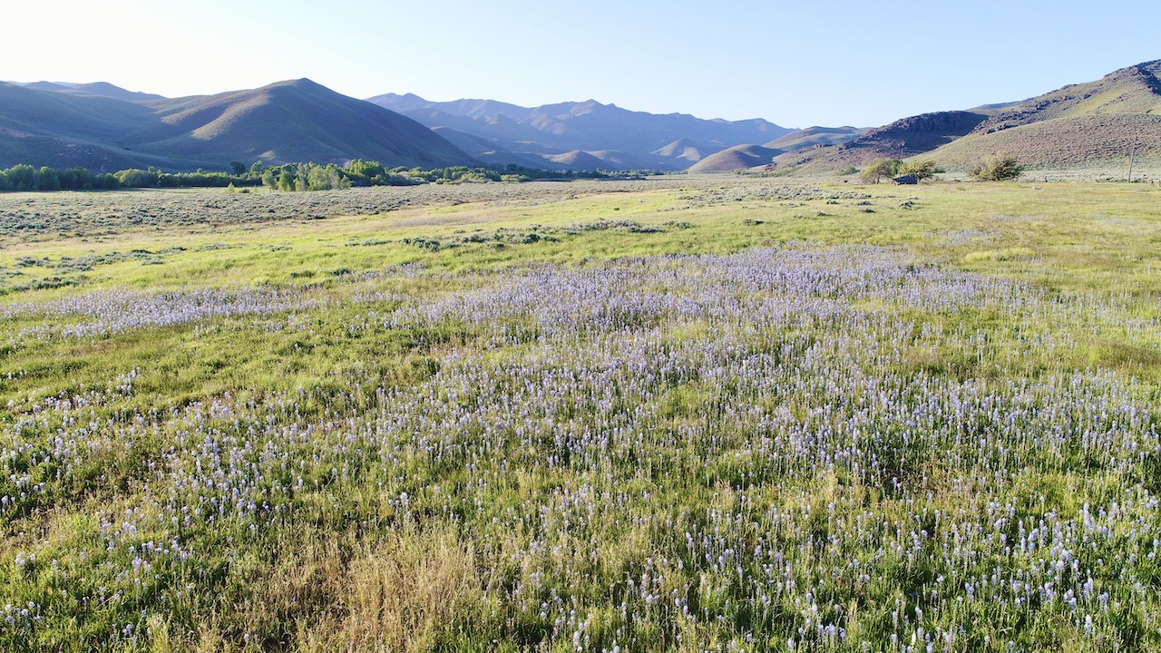Lava Lake Ranch property picture 127 of 135
