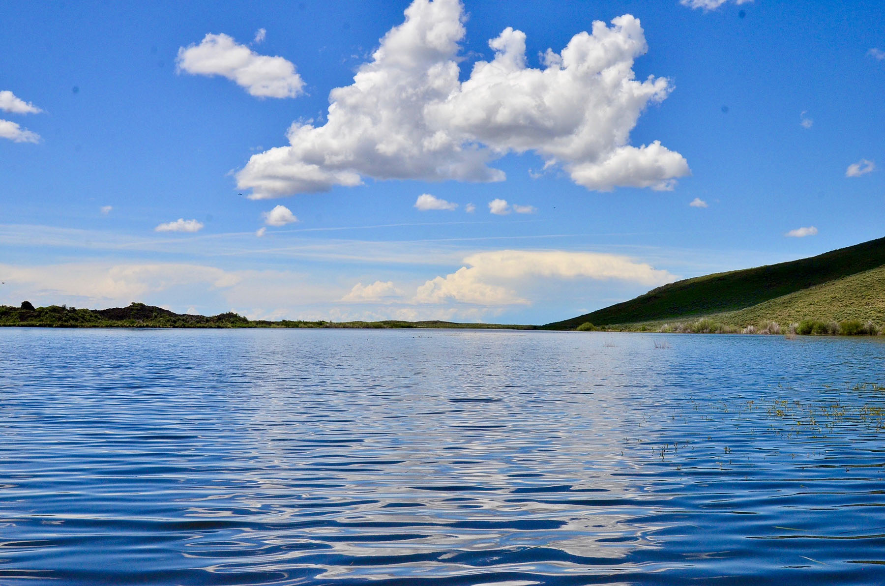 Lava Lake Ranch property picture 82 of 135