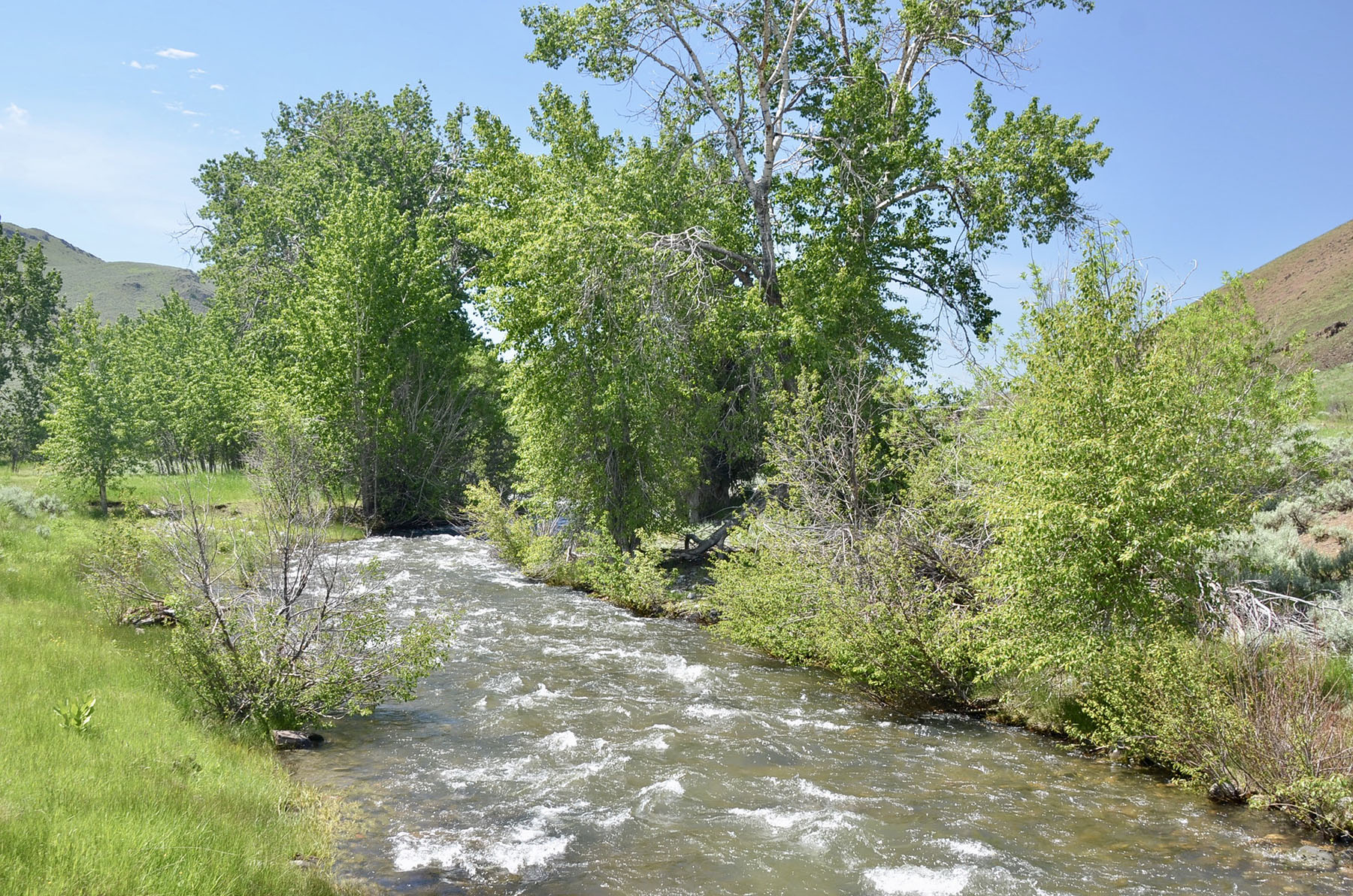 Lava Lake Ranch For Sale Idaho Hall and Hall