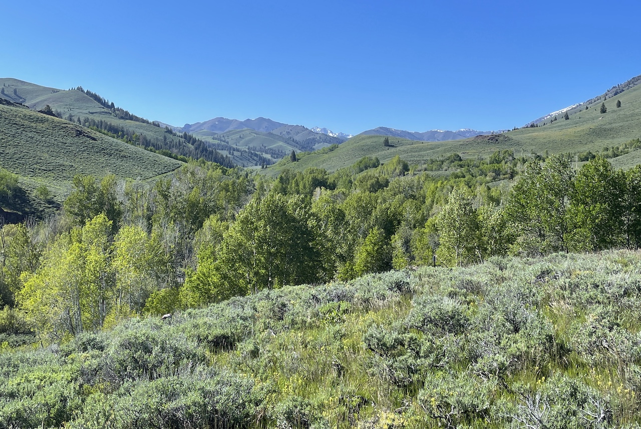 Lava Lake Ranch property picture 116 of 135