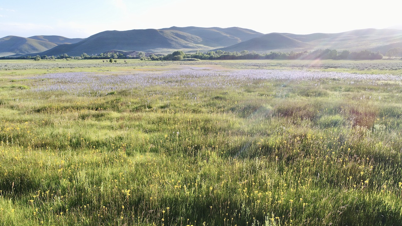 Lava Lake Ranch property picture 122 of 135