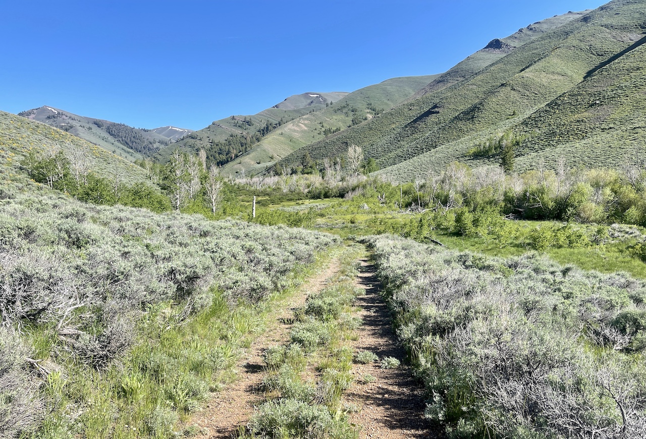 Lava Lake Ranch property picture 123 of 135