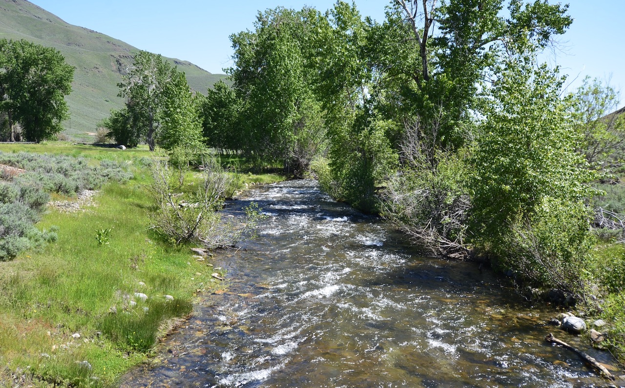 Lava Lake Ranch property picture 113 of 135