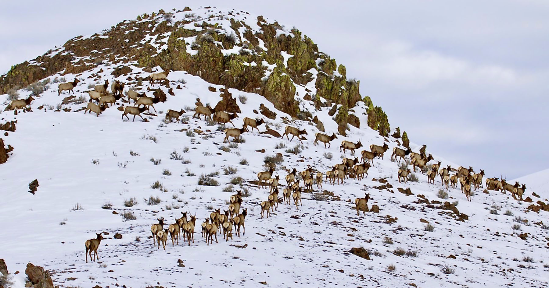 Lava Lake Ranch property picture 49 of 135