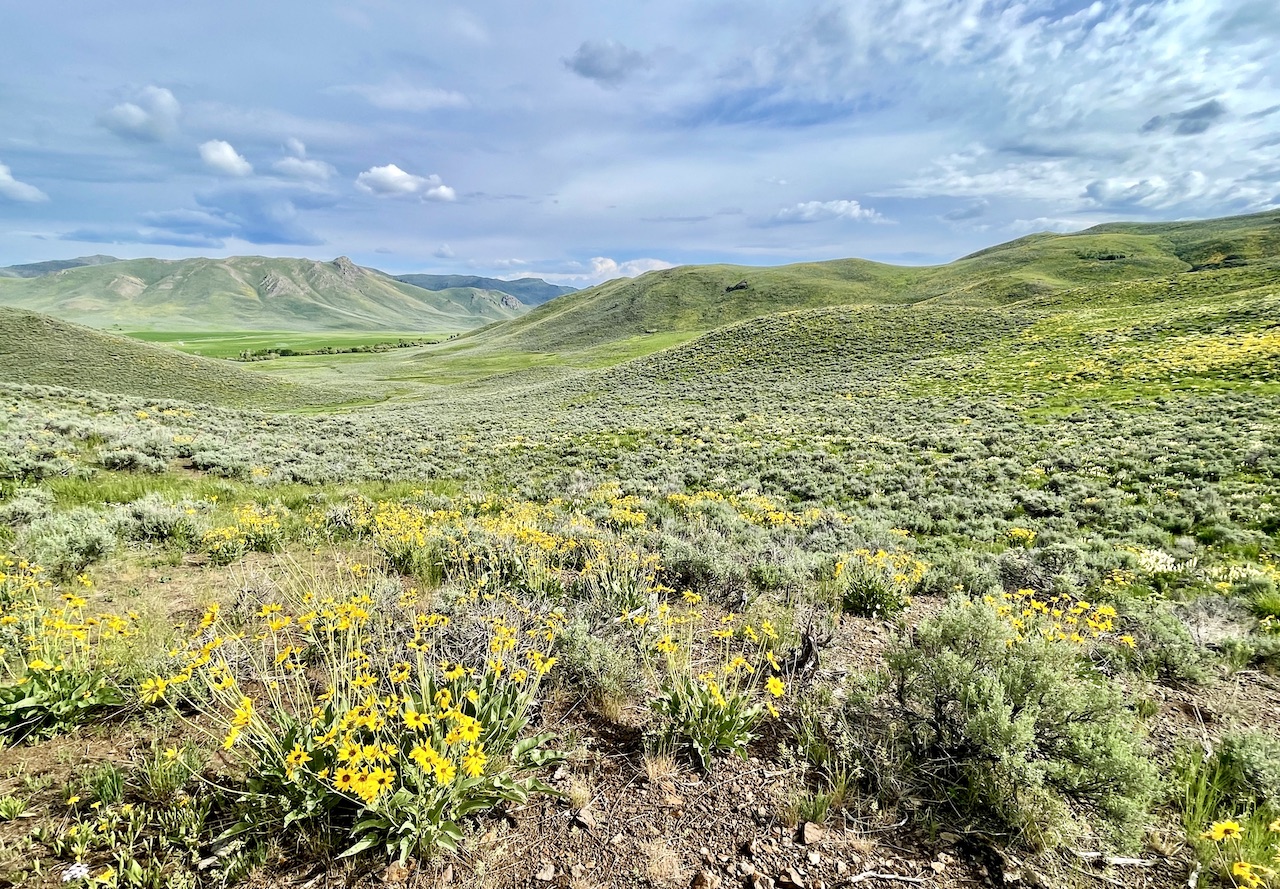 Lava Lake Ranch property picture 134 of 135