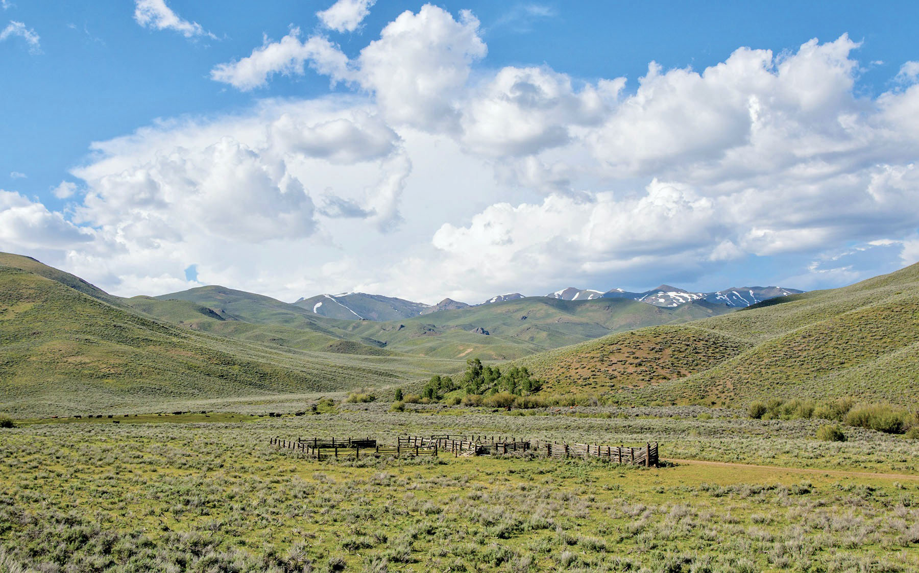 Lava Lake Ranch property picture 98 of 135