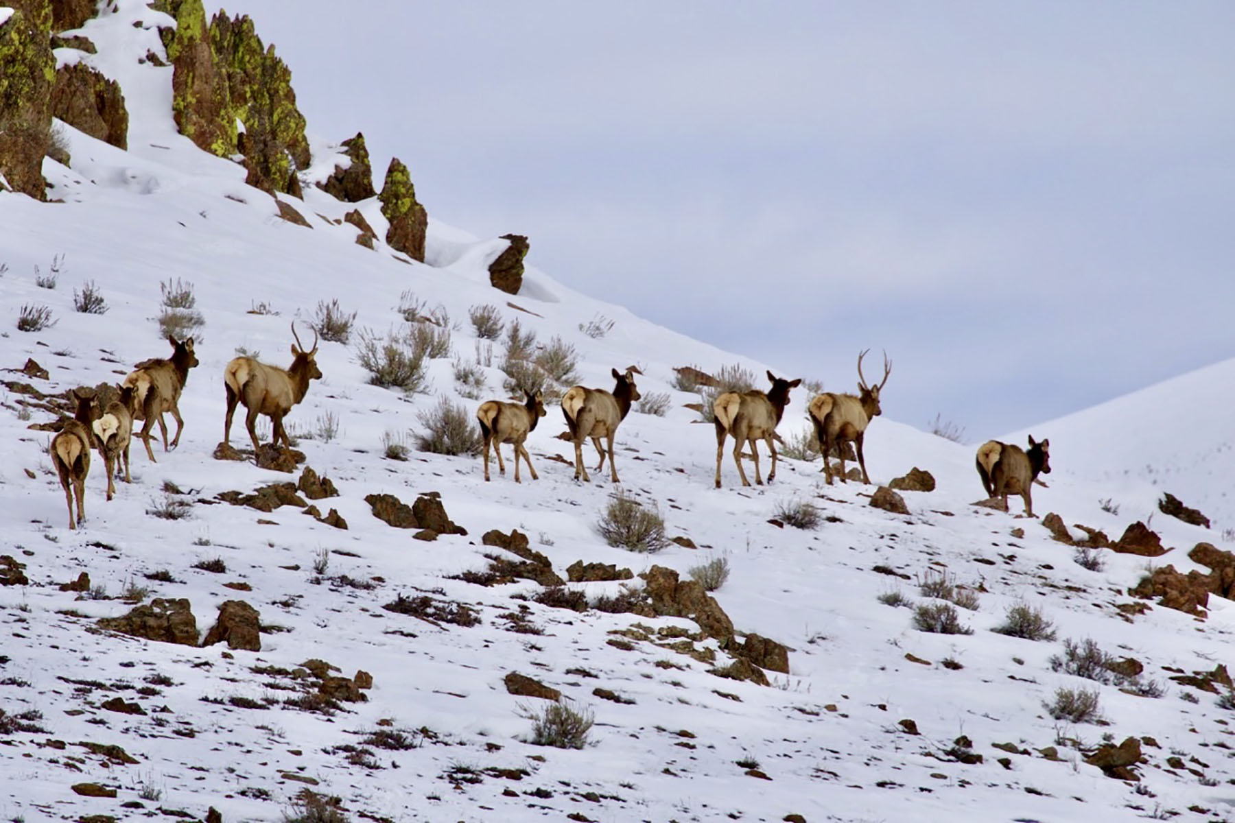 Lava Lake Ranch property picture 50 of 135