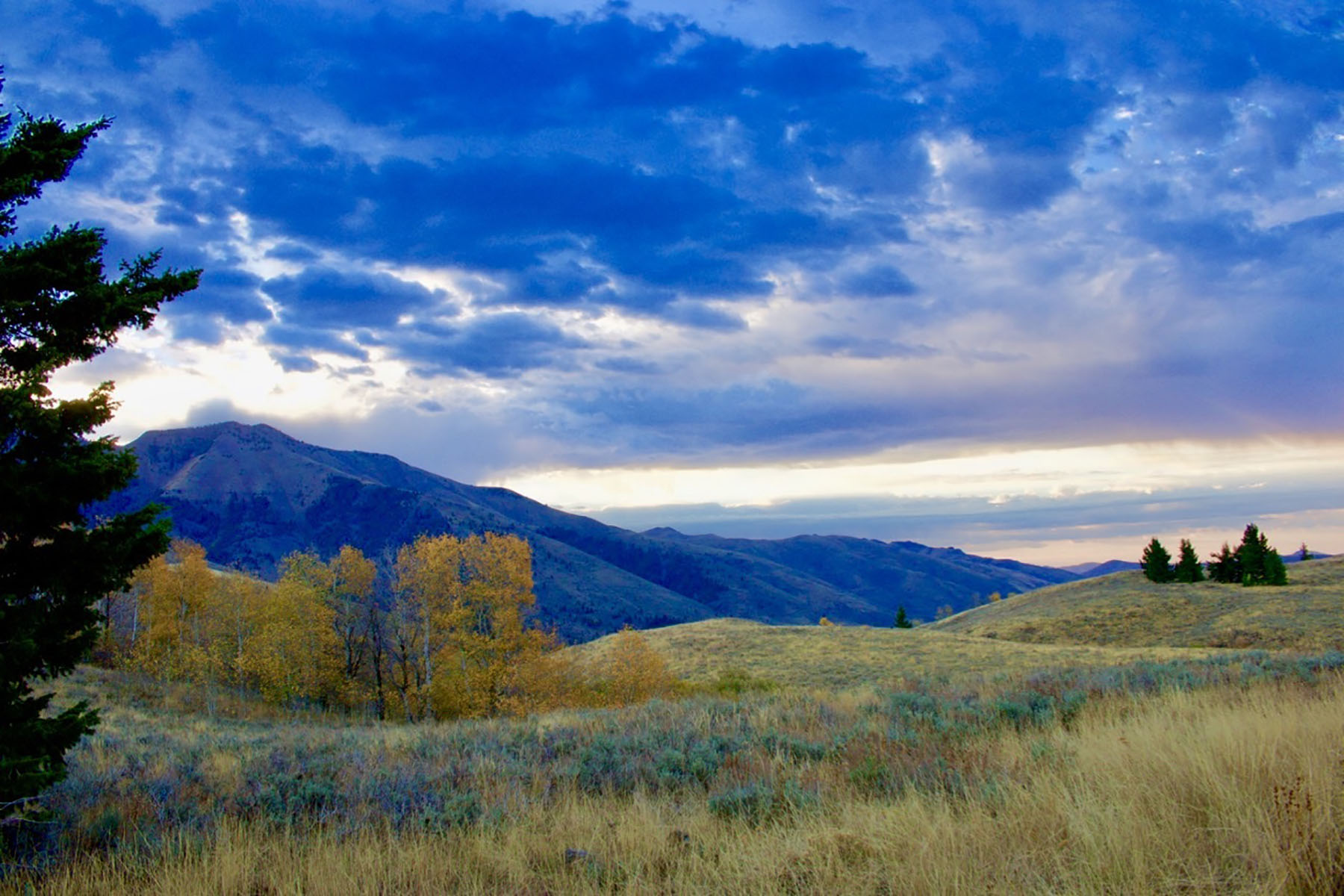 Lava Lake Ranch property picture 76 of 135