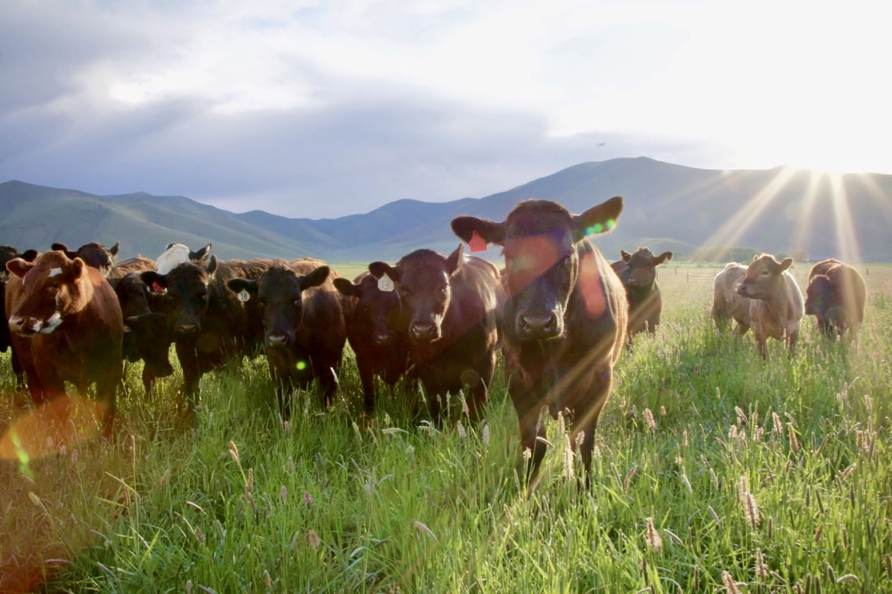 Lava Lake Ranch property picture 27 of 135