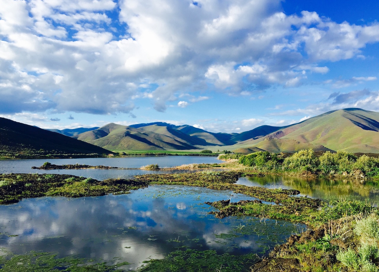Lava Lake Ranch property picture 93 of 135