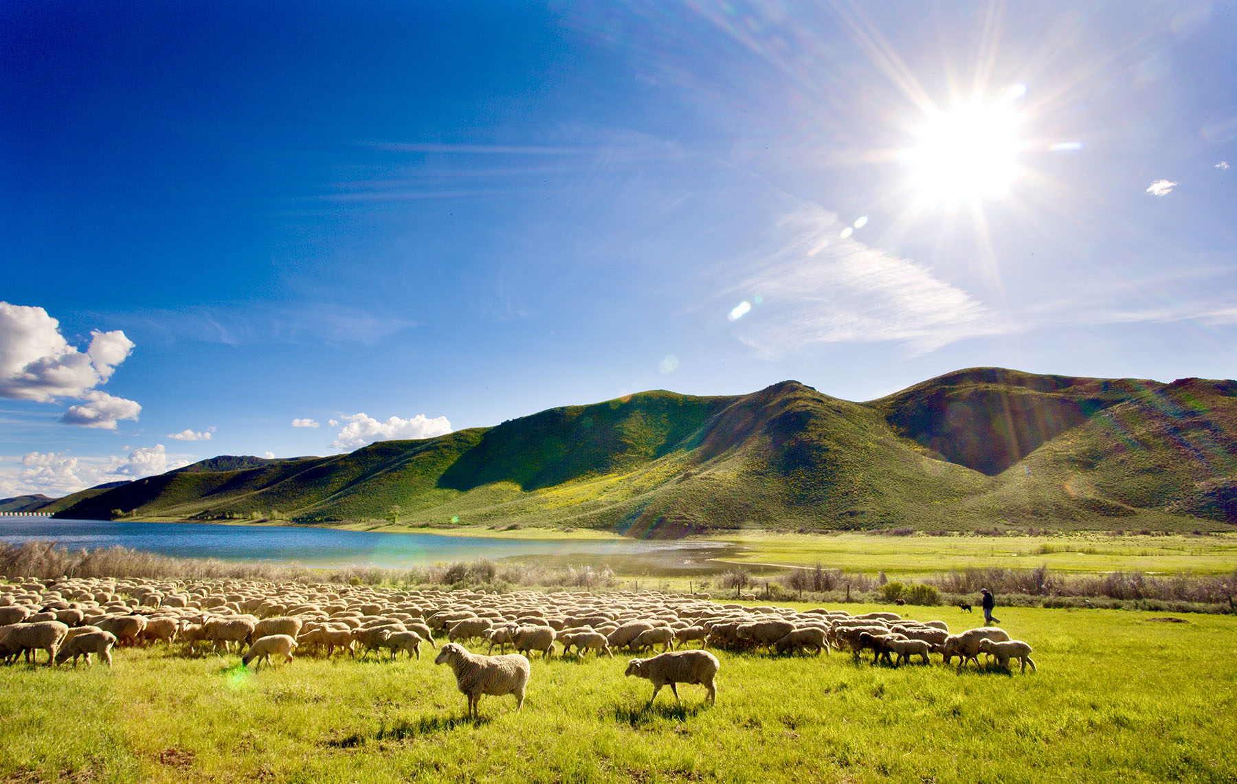 Lava Lake Ranch property picture 23 of 135